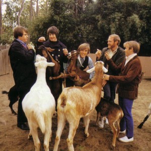 petsounds