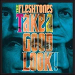 fleshtones-takeagood